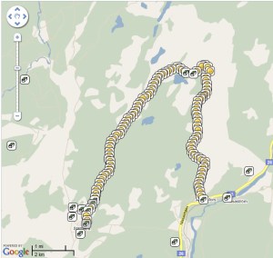 Efter loggning, den första delen vi gav oss på...