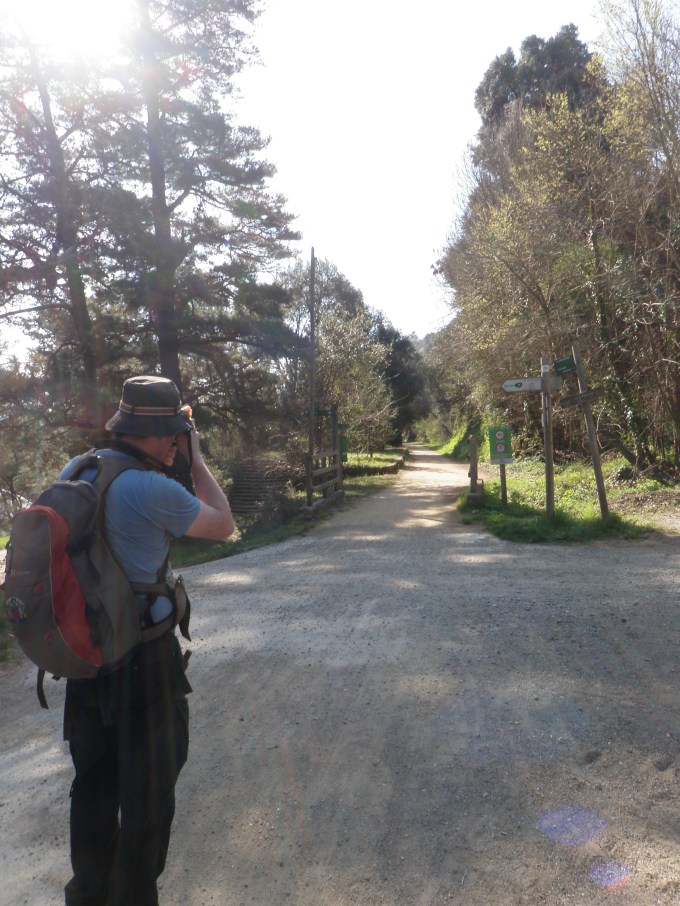 Zcriptar och banvallen