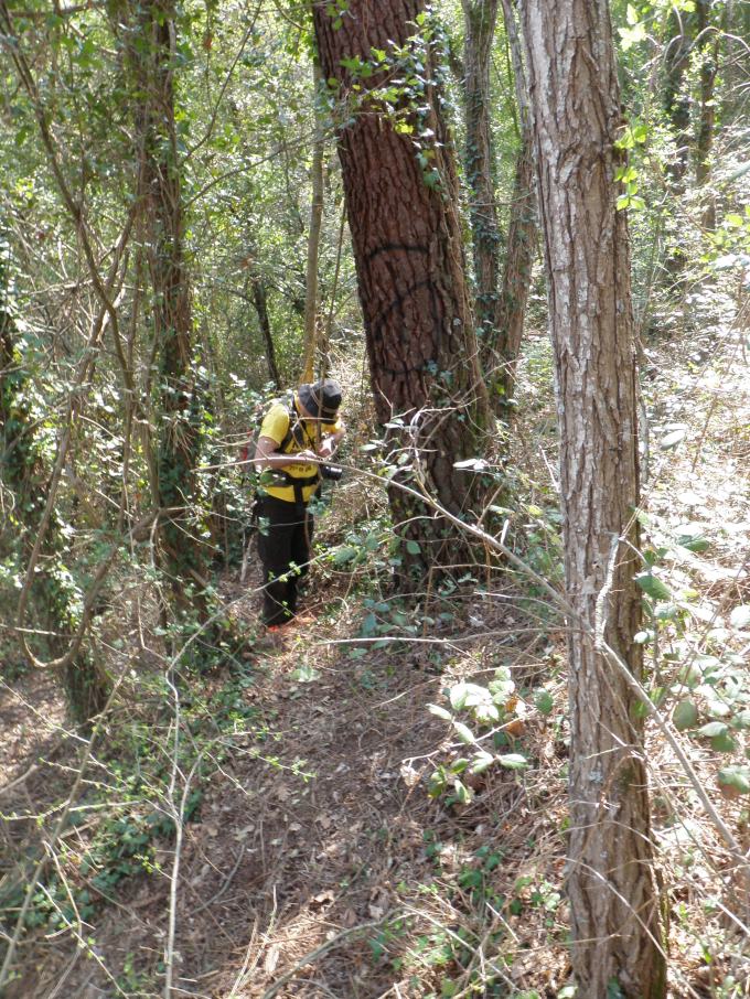 Zcriptar loggar en cache utmed CSJ