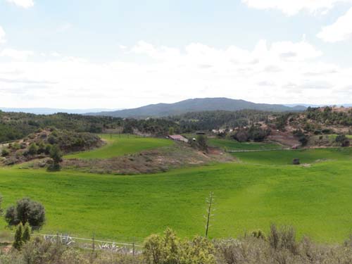 Gräset är grönare på...