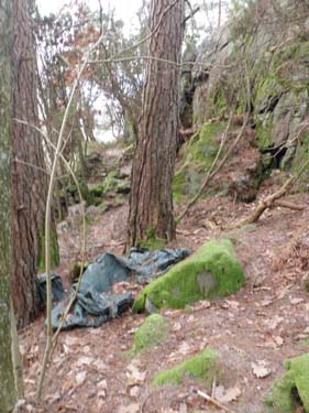 Är detta Leifs tillhåll?