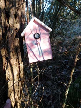 Här bor det en pippi!