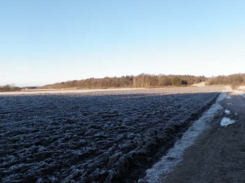 Tänk att det finns platser som denna där bönder vänder på jorden, bara några kilometer från centrala Göteborg.
