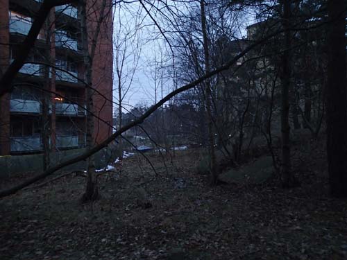 Elvakung eller älvkung - jag träffade endast en ekorre!