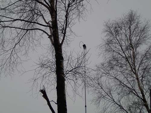 Ännu en burk påväg!