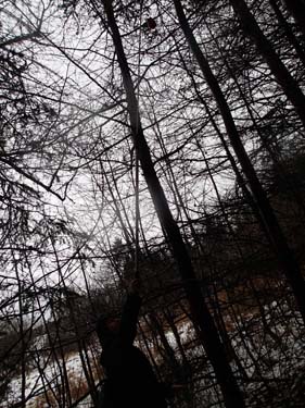 Jsson har kul i ravinen!