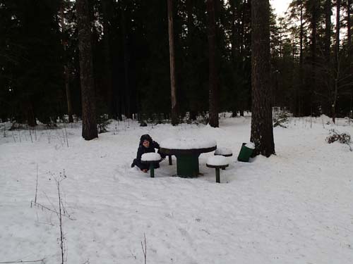 Hallén på picknick i skogen, men där finns väl inte någon cache....