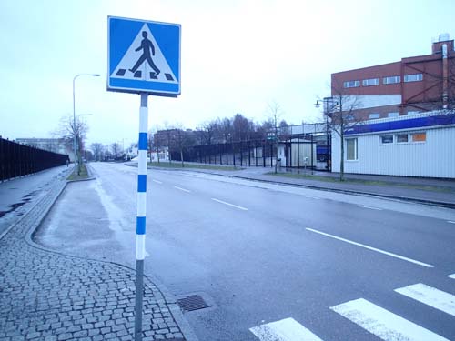 Inga spindlar och inga hundar synliga!