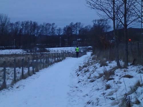 Parkeringsvakts-want-to-be-mugglare dyker upp här och där - tur att arten är lätt att få syn på...