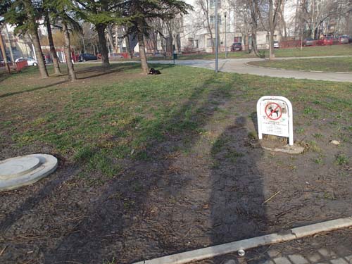 Hundar kan inte läsa...