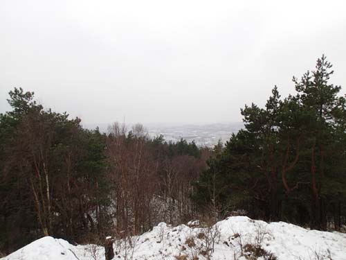 Utsikt över älvdalen