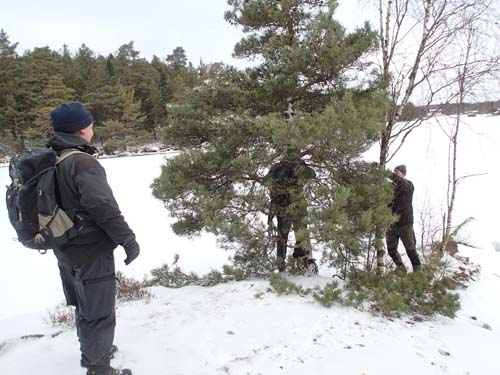 Här pågår rävjakt!