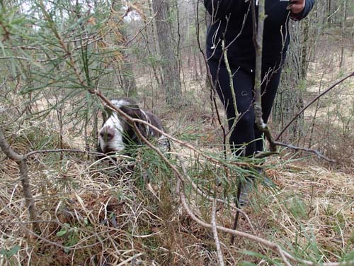 Dunder efter ett framgångsrikt fynd!