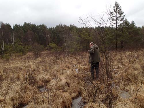 I denna trakt finns mossar som kommer att ge hebb glädjetårar när han loggar serien1