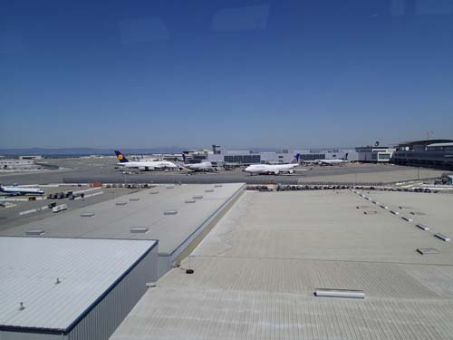 Vy mot den stora fågeln som förde oss över Atlanten och Nordamerika.