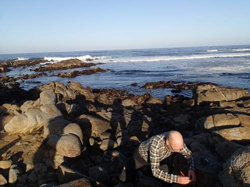 Joy.se gör ett fynd!