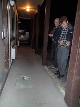 En riktigt kul överraskning!