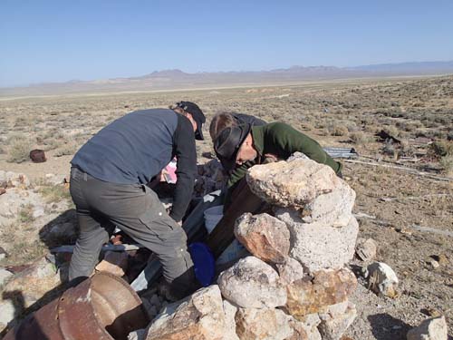 Kan det finnas något mellan stenarna?