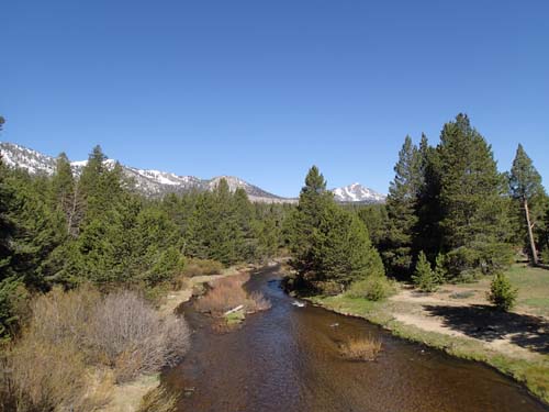 Vi kom nu in i en helt annan klimatzon!