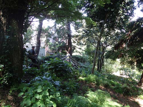 Det är svårt att tro att detta faktiskt är centrala San Francisco!