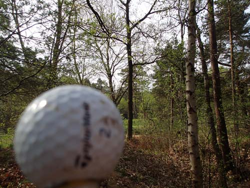 Nej, jag spelar inte golf!