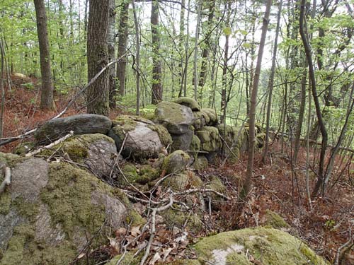 Långt från Nevadaöknen!