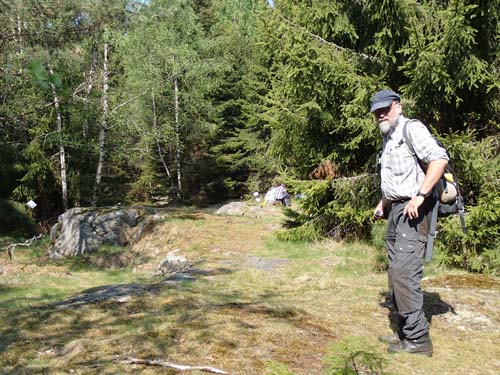 Bakom buskarna lurar mugglarna!