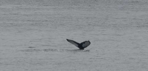 Bra början på dagen!