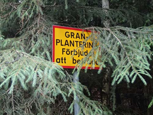 Här fick man inte gå in bland träden!