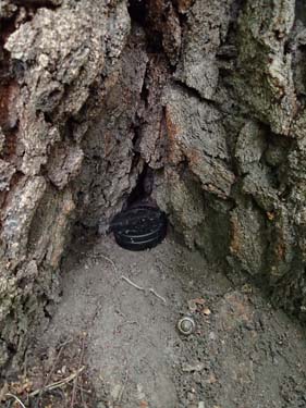 Bilden avslöjar vilken typ av dålig vana som är burk-tema för denna serie.