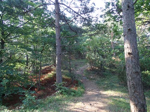 Mitt i bild, där stigen går upp finns graven. Den är riktigt svår att se, en fornlämning som de flesta missar!