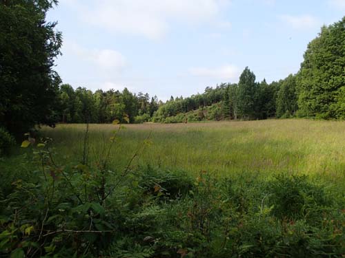 Här är det länge sedan man skördade hö!