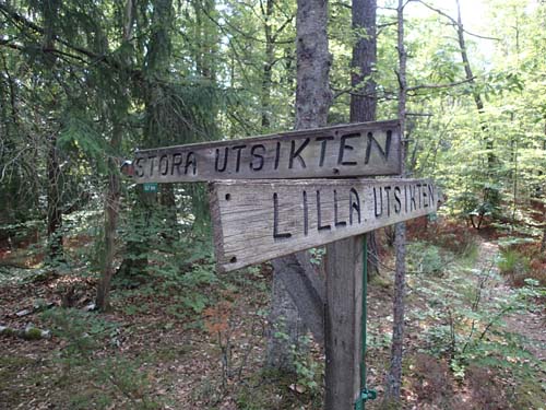 Är utsikterna goda?