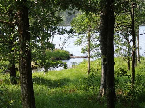 Ugglebäckens utlopp i Lilla Delsjön.