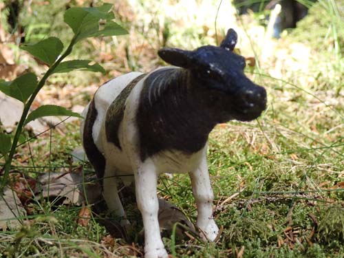 Ursäkta damen, kan jag få rota lite i dina bakre regioner - Närgången? Jag? Det här är ju geocaching!