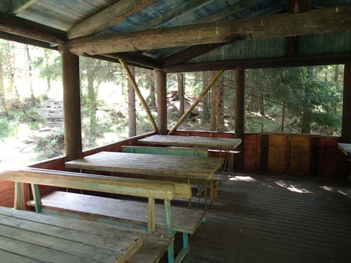 Var är alla scouter?