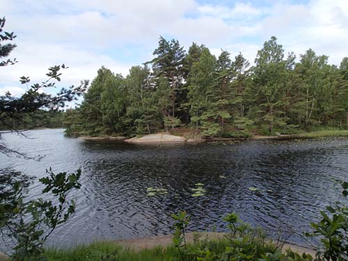 Vy över spängerna.