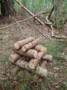 Trätoffelmakarnas högkultur kännetecknas som alla vet av byggandet av träpyramider. Riddarstensområdet verkar vara centrum för deras mystiska kult!