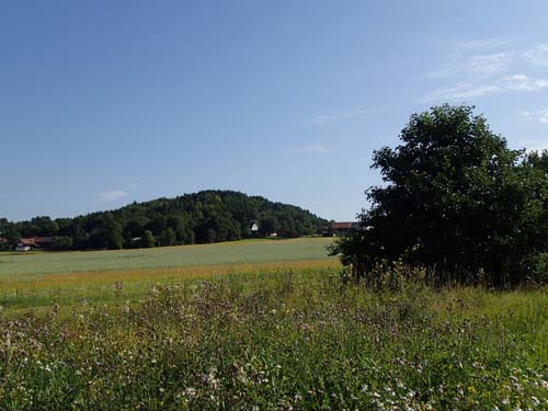 "Dödens berg" här låg Ale härads avrättningsplats.