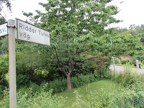 Riddar Tures väg