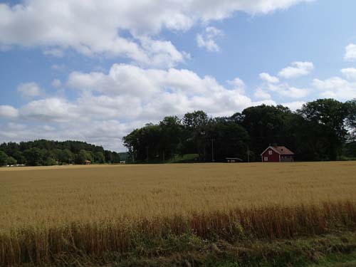 Vy mot Klosterkullen.