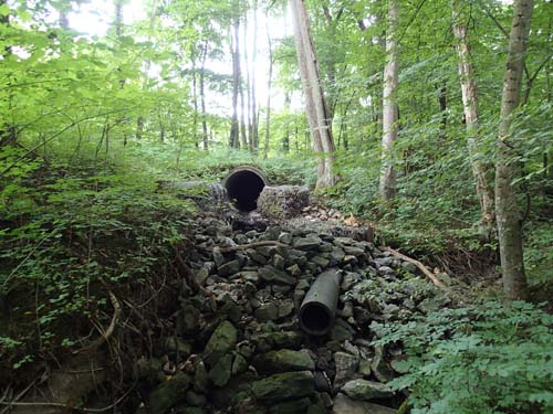 Ingen kärring i sikte...!