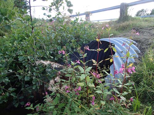 Var sitter cachen....?