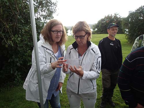 Mugglarna segrade här!