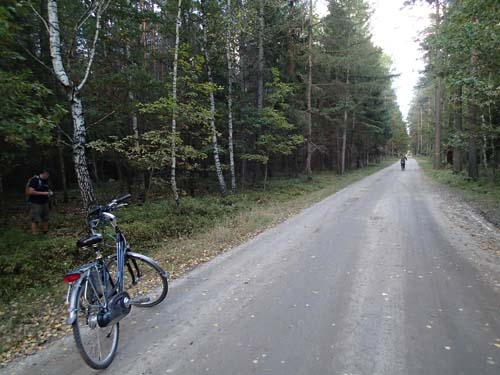 Cyklar utmed trailen.
