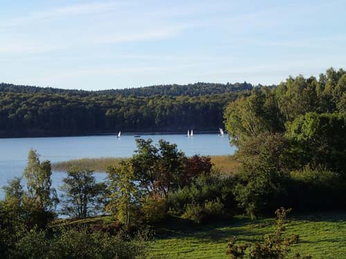 Segel på Rådasjön.