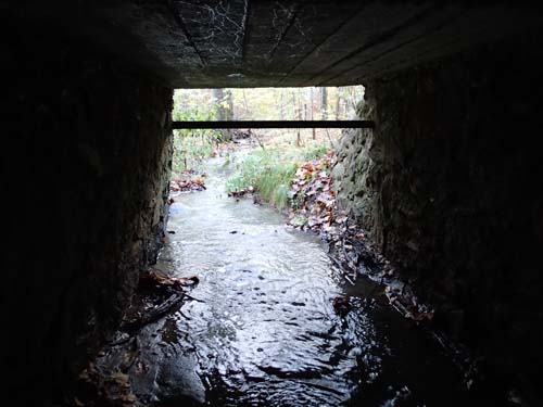 Här är Hallén trollet under bron!