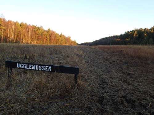 Ugglemosen