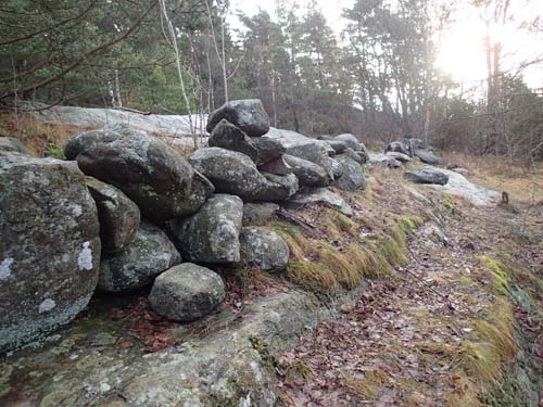 Inga blommor men väl en burk.