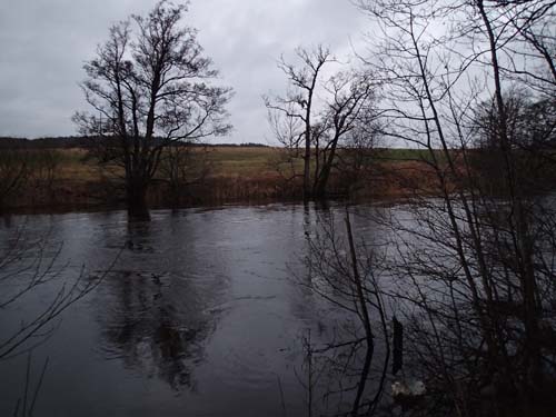 Mycket vatten i Säveån idag!